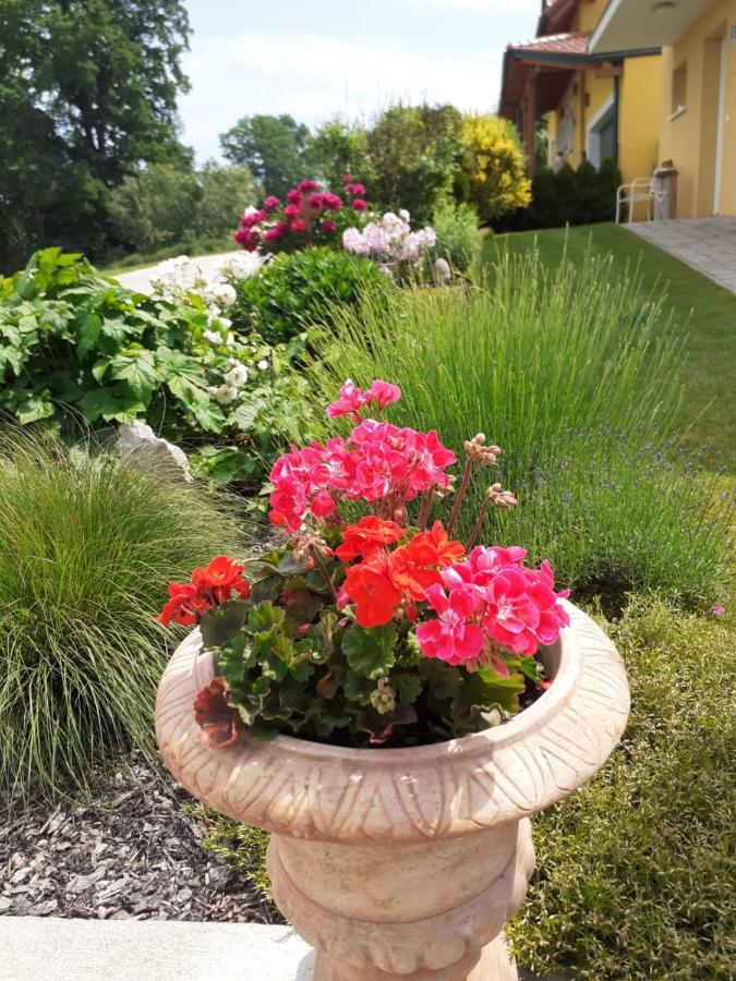 Apartment Casa Sol-rural Near Linz Katsdorf