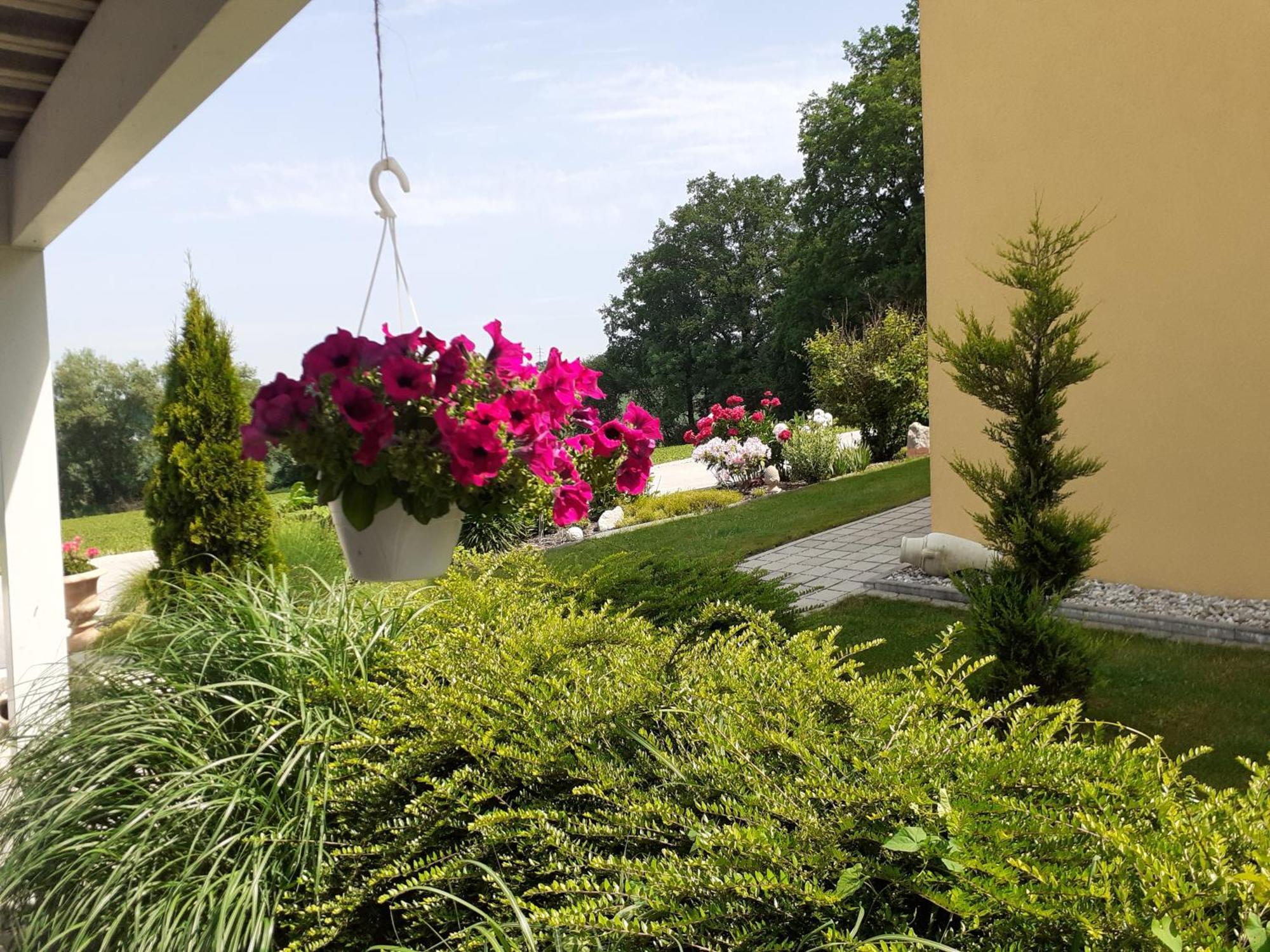 Apartment Casa Sol-rural Near Linz Katsdorf